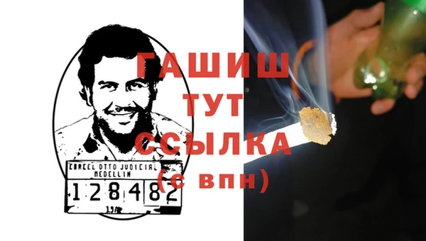 индика Осинники