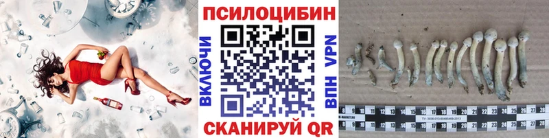 что такое наркотик Руза Псилоцибиновые грибы прущие грибы
