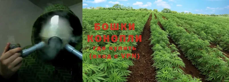 где можно купить наркотик  Руза  Конопля Ganja 